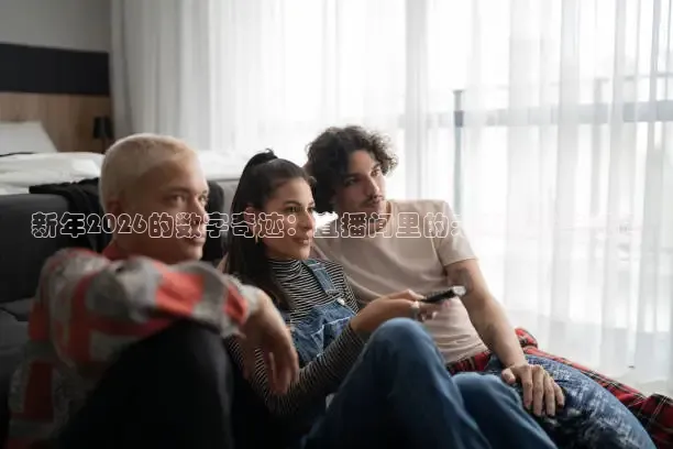 蜘蛛直播体育免费观看